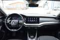 Skoda Octavia 2,0 TDI Ambition DSG Schwarz - thumbnail 14