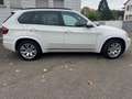 BMW X5 xDrive40d M PAKET ACC PANO HEADUP 19ZOLL 360GRAD Weiß - thumbnail 5