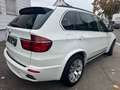 BMW X5 xDrive40d M PAKET ACC PANO HEADUP 19ZOLL 360GRAD Weiß - thumbnail 6