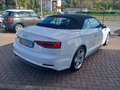 Audi A5 A5 Cabrio 40 2.0 tdi 190cv S Line s-tronic Blanco - thumbnail 5