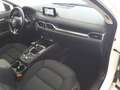 Mazda CX-5 2.0L Skyactiv-G 165cv 2WD 6MT Business Bianco - thumbnail 10