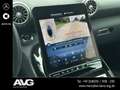 Mercedes-Benz SL 43 AMG Mercedes-AMG SL 43 DISTRONIC 360° DIGTIAL DAB Grau - thumbnail 20