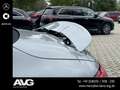 Mercedes-Benz SL 43 AMG Mercedes-AMG SL 43 DISTRONIC 360° DIGTIAL DAB Grau - thumbnail 24