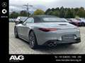 Mercedes-Benz SL 43 AMG Mercedes-AMG SL 43 DISTRONIC 360° DIGTIAL DAB Grau - thumbnail 6
