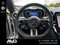 Mercedes-Benz SL 43 AMG Mercedes-AMG SL 43 DISTRONIC 360° DIGTIAL DAB Grau - thumbnail 16