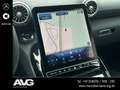 Mercedes-Benz SL 43 AMG Mercedes-AMG SL 43 DISTRONIC 360° DIGTIAL DAB Grau - thumbnail 19