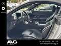 Mercedes-Benz SL 43 AMG Mercedes-AMG SL 43 DISTRONIC 360° DIGTIAL DAB Grau - thumbnail 10