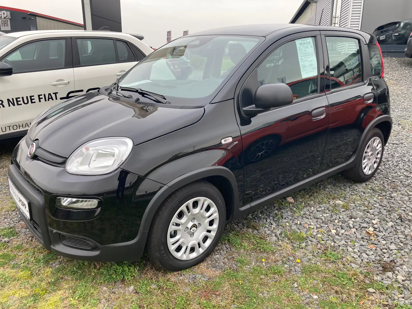 Fiat Panda Pandina 1.0 GSE Hybrid Schwarz - 1