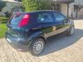 Fiat Punto Punto III 2012 5p 1.2 Young Blu/Azzurro - thumbnail 3