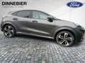 Ford Puma ST-Line X LED+Navi+Kamera+Winterpaket Gris - thumbnail 7