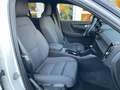 Volvo XC40 Core Pure Electric 2WD ACC Google Kamera 19 Weiß - thumbnail 17