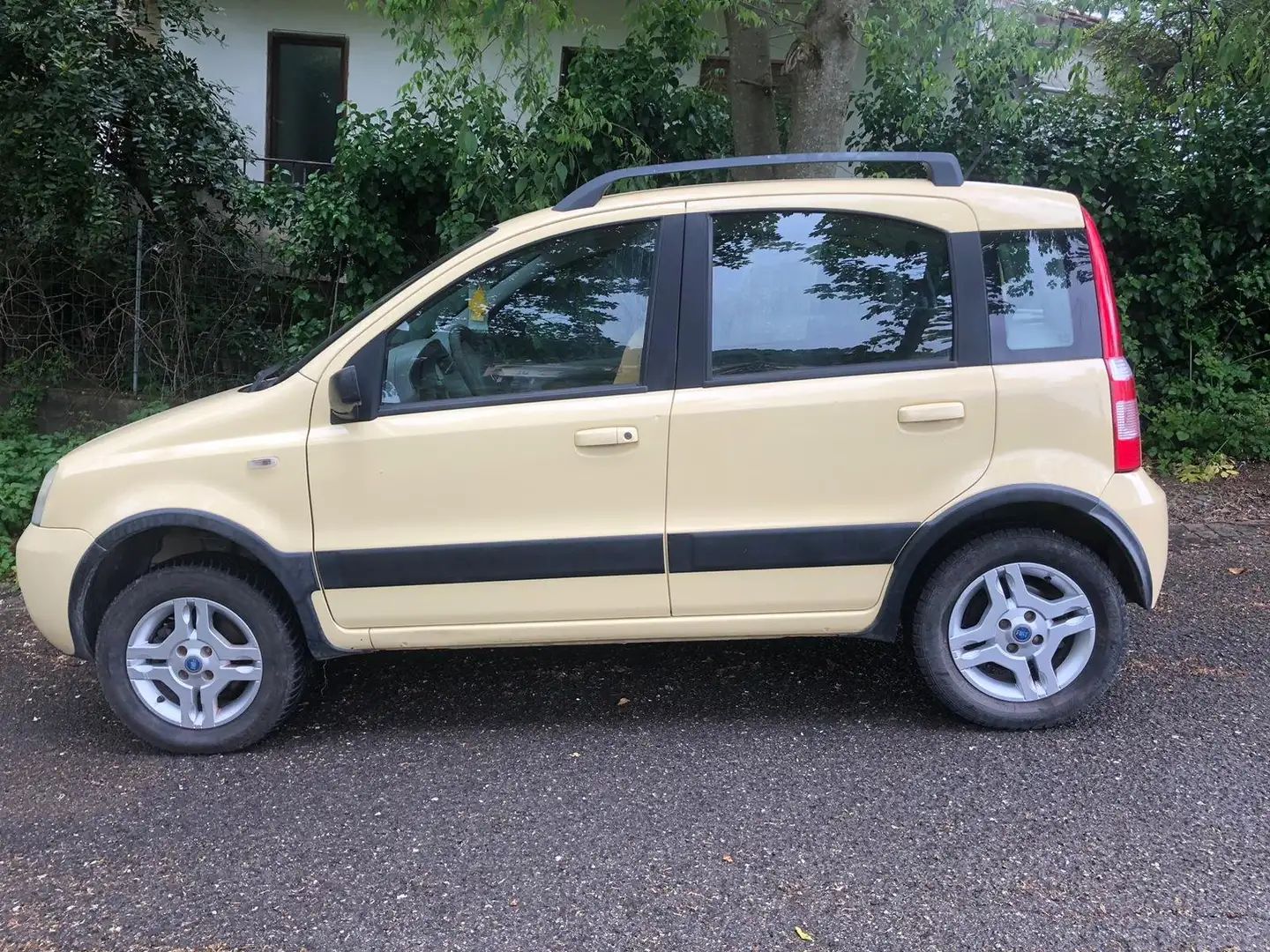 Fiat Panda Panda 1.3 mjt 16v 4x4 Giallo - 2