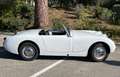 Austin-Healey Sprite 1960 Weiß - thumbnail 9