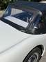 Austin-Healey Sprite 1960 Weiß - thumbnail 5