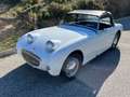 Austin-Healey Sprite 1960 Weiß - thumbnail 3