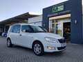 Skoda Roomster 1.4 Active Plus Edition+KLIMA+SHZ+ZV+EL.FH+1.HAND Weiß - thumbnail 31