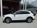 Audi Q5 2,0 TDI quattro S-tronic Weiß - thumbnail 7