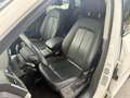 Audi Q5 2,0 TDI quattro S-tronic Weiß - thumbnail 13