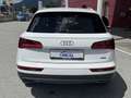 Audi Q5 2,0 TDI quattro S-tronic Weiß - thumbnail 6