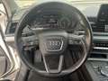 Audi Q5 2,0 TDI quattro S-tronic Weiß - thumbnail 12