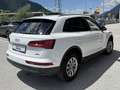Audi Q5 2,0 TDI quattro S-tronic Weiß - thumbnail 5