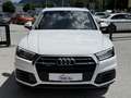 Audi Q5 2,0 TDI quattro S-tronic Weiß - thumbnail 3