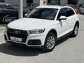 Audi Q5 2,0 TDI quattro S-tronic Weiß - thumbnail 1