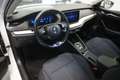 Skoda Octavia 2.0 TDI DPF Style Virtual/Navi/LED/Sport Weiß - thumbnail 7