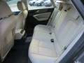 Audi A7 Sportback 50 3.0 tdi Business S-Line SLine S Line Grigio - thumbnail 10