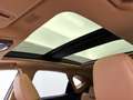 Lexus NX 450h+ AWD President Line Limited | Panoramisch Schuifdak Gri - thumbnail 13