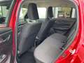 Suzuki Swift 1.2 Dualjet Hybrid Comfort Plus *ACC*LED* Rot - thumbnail 17