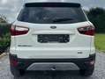 Ford EcoSport Ecosport 1.0 EcoBoost 4x2 Trend Marchand // Export Blanc - thumbnail 7