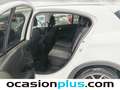 Fiat Tipo 1.5 Hybrid Cross DCT 96KW Weiß - thumbnail 11