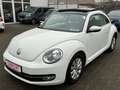 Volkswagen Beetle BEETLE "DESIGN"2.HAND/PANO/PDC V&H/TEMPOMAT Blanc - thumbnail 1