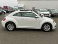 Volkswagen Beetle BEETLE "DESIGN"2.HAND/PANO/PDC V&H/TEMPOMAT White - thumbnail 4