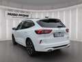 Ford Kuga ST-Line X 2.5 FHEV Weiß - thumbnail 4