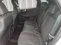 Ford Kuga ST-Line X 2.5 FHEV Weiß - thumbnail 9
