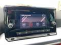 SEAT Ibiza 1.0 EcoTSI 95 CV 5 porte FR Gris - thumbnail 24