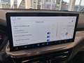 Ford Focus 1.5 EcoBlue Titanium X Aut. Blau - thumbnail 15