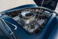 AC Cobra 427 S/C Hi-Tech Motorsports Blau - thumbnail 13