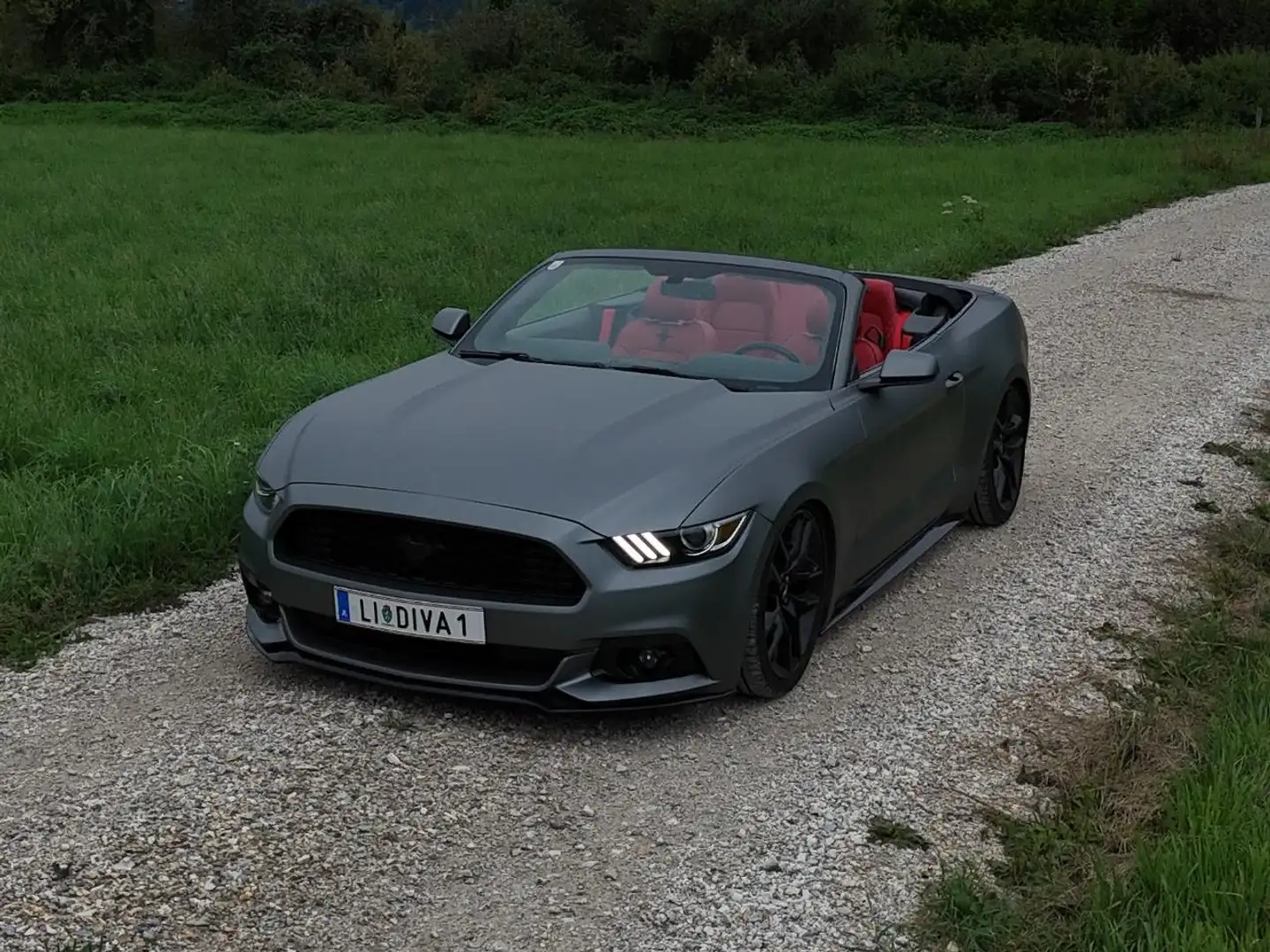 Ford Mustang Mustang 2,3 EcoBoost Cabrio Aut. Grau - 1
