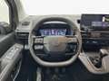 Citroen Berlingo Talla M BlueHDi 100 S&S PLUS M1 Verde - thumbnail 15