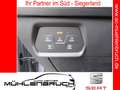 CUPRA Formentor 2.0 TDI 4Drive DSG 18ZOLL+NAVI+SHZ Grau - thumbnail 20