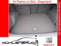 CUPRA Formentor 2.0 TDI 4Drive DSG 18ZOLL+NAVI+SHZ Grau - thumbnail 10