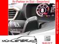 CUPRA Formentor 2.0 TDI 4Drive DSG 18ZOLL+NAVI+SHZ Grau - thumbnail 18