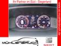 CUPRA Formentor 2.0 TDI 4Drive DSG 18ZOLL+NAVI+SHZ Grau - thumbnail 21