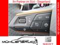 CUPRA Formentor 2.0 TDI 4Drive DSG 18ZOLL+NAVI+SHZ Grau - thumbnail 16