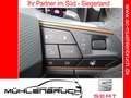 CUPRA Formentor 2.0 TDI 4Drive DSG 18ZOLL+NAVI+SHZ Grau - thumbnail 17
