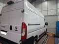 Fiat Ducato L2H2 Apple CarPlay   Android Auto AHK Blanc - thumbnail 2