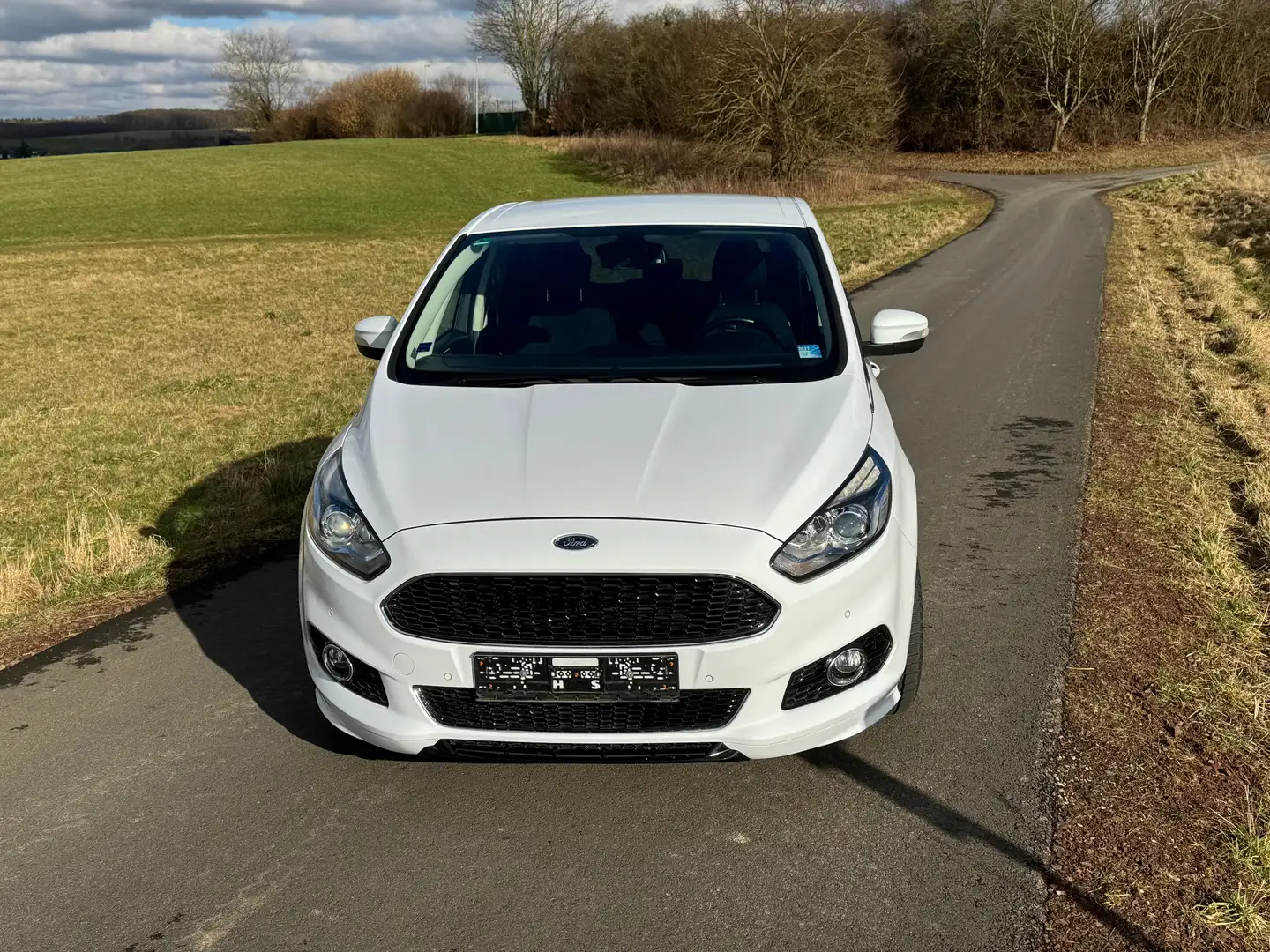 Ford S-Max S-Max+2.0+Eco+Boost+Aut.+Start-StoppTitanium Weiß - 2